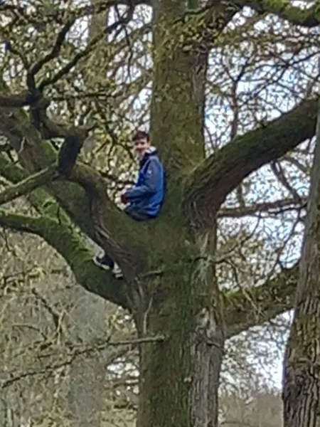 In deze foto zie je Lander Janssens in een grote dikke boom zitten